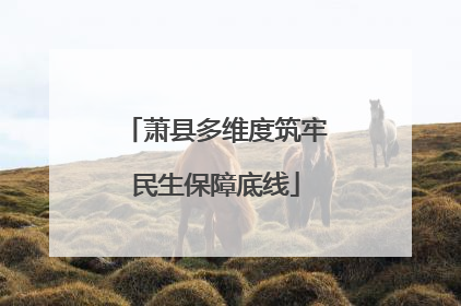 萧县多维度筑牢民生保障底线