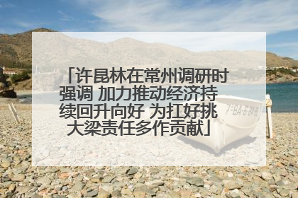 许昆林在常州调研时强调 加力推动经济持续回升向好 为扛好挑大梁责任多作贡献