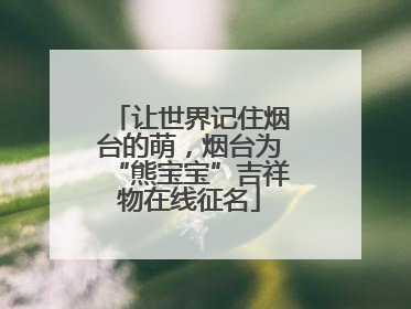 让世界记住烟台的萌，烟台为“熊宝宝”吉祥物在线征名