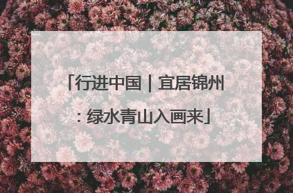 行进中国｜宜居锦州：绿水青山入画来
