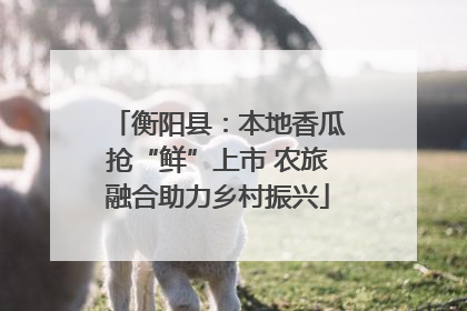 衡阳县：本地香瓜抢“鲜”上市 农旅融合助力乡村振兴