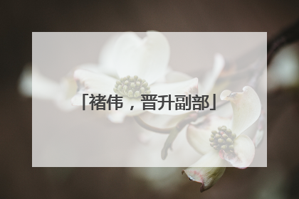褚伟，晋升副部