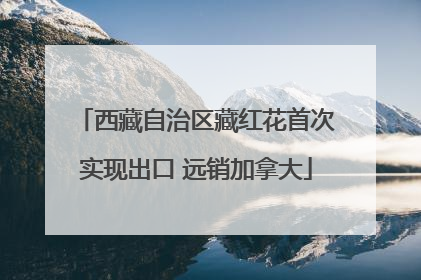 西藏自治区藏红花首次实现出口 远销加拿大