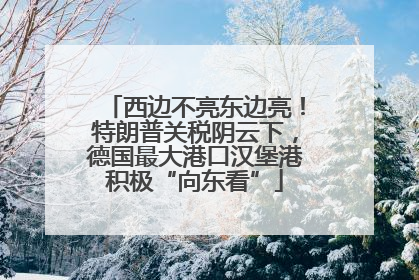 西边不亮东边亮！特朗普关税阴云下，德国最大港口汉堡港积极“向东看”