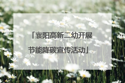 襄阳高新二幼开展节能降碳宣传活动