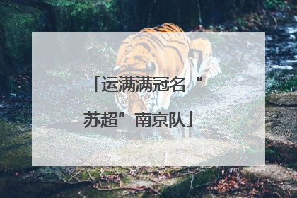 运满满冠名“苏超”南京队