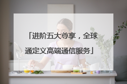 进阶五大尊享，全球通定义高端通信服务
