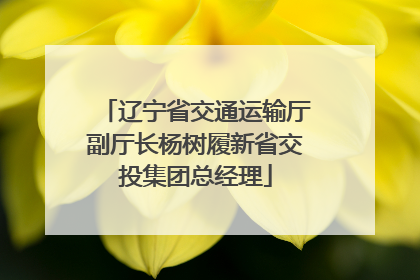 辽宁省交通运输厅副厅长杨树履新省交投集团总经理