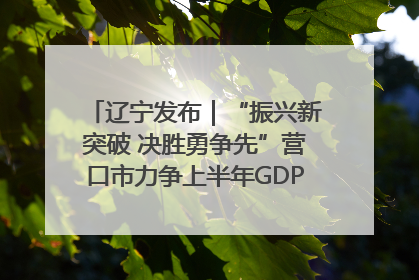 辽宁发布｜“振兴新突破 决胜勇争先”营口市力争上半年GDP增长6%左右