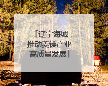 辽宁海城：推动菱镁产业高质量发展