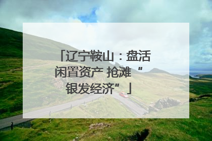 辽宁鞍山：盘活闲置资产 抢滩“银发经济”