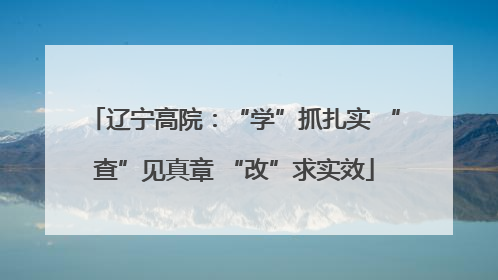 辽宁高院：“学”抓扎实 “查”见真章 “改”求实效