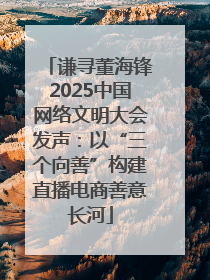 谦寻董海锋2025中国网络文明大会发声：以“三个向善”构建直播电商善意长河