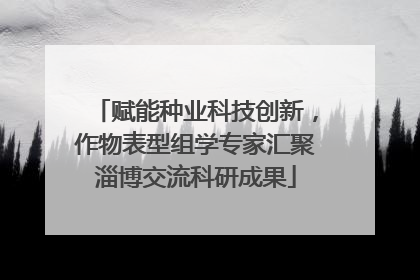 赋能种业科技创新，作物表型组学专家汇聚淄博交流科研成果