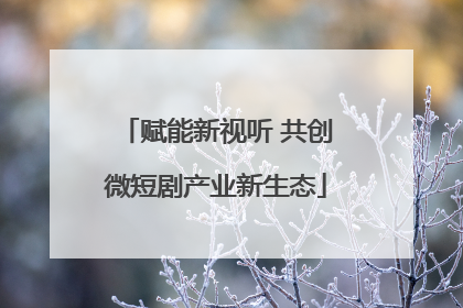 赋能新视听 共创微短剧产业新生态
