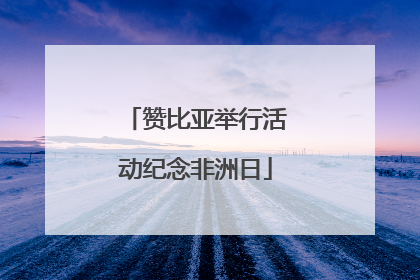 赞比亚举行活动纪念非洲日