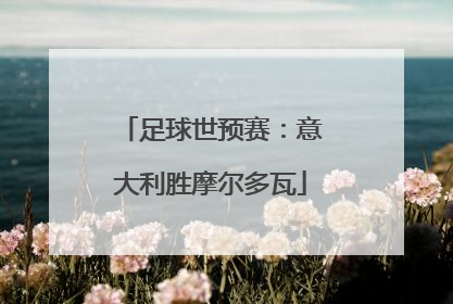 足球世预赛：意大利胜摩尔多瓦