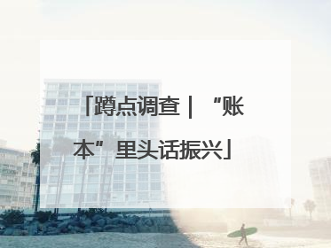 蹲点调查｜“账本”里头话振兴