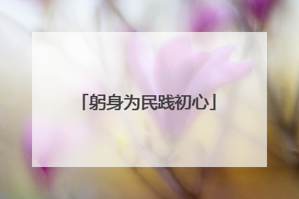 躬身为民践初心