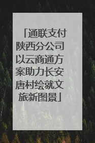 通联支付陕西分公司以云商通方案助力长安唐村绘就文旅新图景