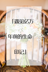 遇见亿万年前的生命印记