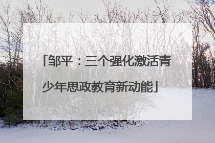 邹平：三个强化激活青少年思政教育新动能