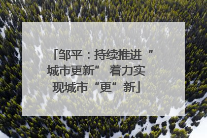 邹平：持续推进“城市更新” 着力实现城市“更”新