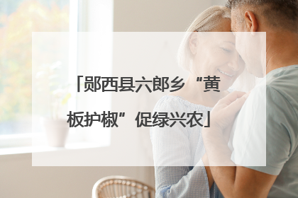 郧西县六郎乡“黄板护椒”促绿兴农