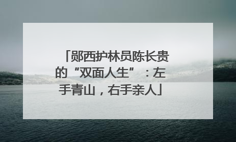 郧西护林员陈长贵的“双面人生”：左手青山，右手亲人