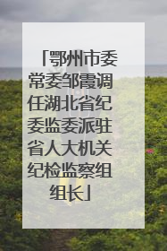 鄂州市委常委邹霞调任湖北省纪委监委派驻省人大机关纪检监察组组长