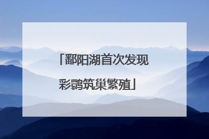 鄱阳湖首次发现彩鹮筑巢繁殖