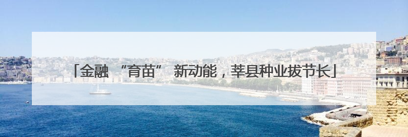金融 “育苗” 新动能，莘县种业拔节长