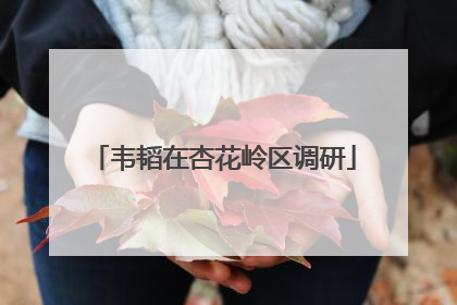 韦韬在杏花岭区调研