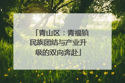 青山区：青福镇民族团结与产业升级的双向奔赴