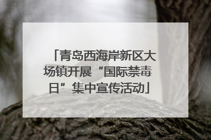 青岛西海岸新区大场镇开展“国际禁毒日”集中宣传活动