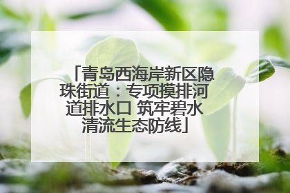 青岛西海岸新区隐珠街道：专项摸排河道排水口 筑牢碧水清流生态防线