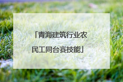 青海建筑行业农民工同台赛技能