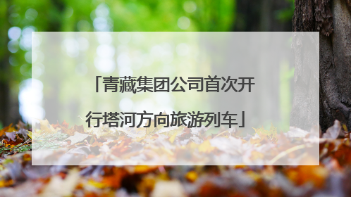 青藏集团公司首次开行塔河方向旅游列车