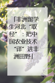非洲留学生河北“取经”：把中国农业技术“译”进非洲田野