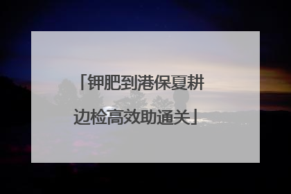 钾肥到港保夏耕 边检高效助通关