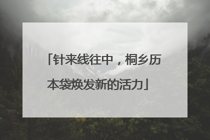 针来线往中，桐乡历本袋焕发新的活力
