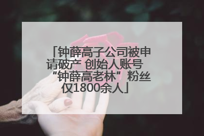 钟薛高子公司被申请破产 创始人账号“钟薛高老林”粉丝仅1800余人