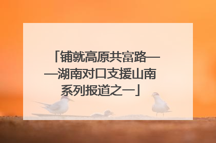 铺就高原共富路——湖南对口支援山南系列报道之一