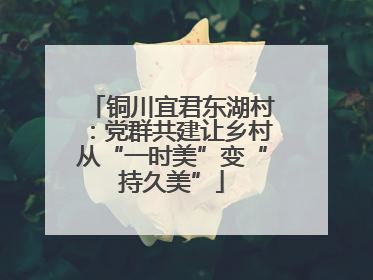 铜川宜君东湖村：党群共建让乡村从“一时美”变“持久美”