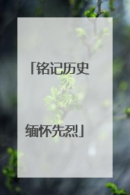 铭记历史 缅怀先烈