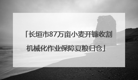 长垣市87万亩小麦开镰收割 机械化作业保障夏粮归仓