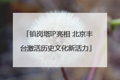 镇岗塔IP亮相 北京丰台激活历史文化新活力