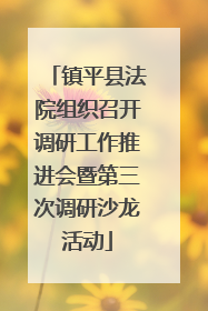 镇平县法院组织召开调研工作推进会暨第三次调研沙龙活动