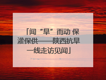 闻“旱”而动 保灌保供——陕西抗旱一线走访见闻