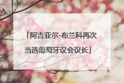阿吉亚尔-布兰科再次当选葡萄牙议会议长